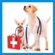 Ветеринария для собак
