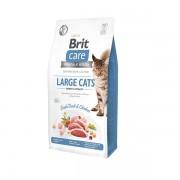 Корм Брит Care Cat GF Large cats Power & Vitality для взрослых кошек крупных пород. Сила и Энергия