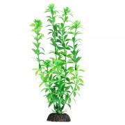 Растение 1050LD "Гемиантус" зеленый, 400мм, (пакет)
