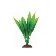 Растение 1994 "Эхинодорус" зеленый, 200мм, (пакет)