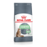 "Royal Canin Digestive Comfort 38"для кошек с расстройствами пищеварительной системы 400гр. пачка