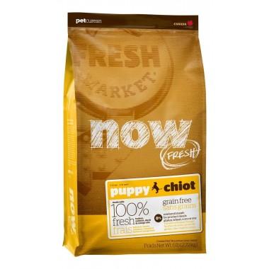 Корм NOW FRESH беззерновой для щенков, с индейкой, уткой и овощами, Fresh Puppy Recipe Grain Free