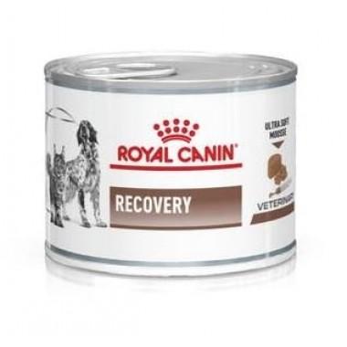 Консервы "Royal Canin Recovery" при проблемах с почками (мусс)